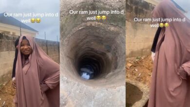 lady confused as ram for sallah celebration jumps into well