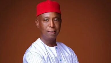 Any wage less than N100,000 is an insult to workers - Ned Nwoko