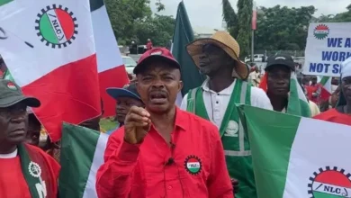 Don’t forward your minimum wage to NASS without consulting us - Labour warns FG