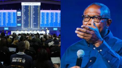 Ours was plagued by fraud, irregularities - Peter Obi compares South Africa, Nigeria election