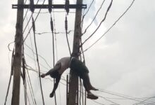 Man electrocuted while allegedly trying to steal