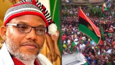 Certain Igbo politicians are sabotaging efforts to secure Kanu's release - IPOB