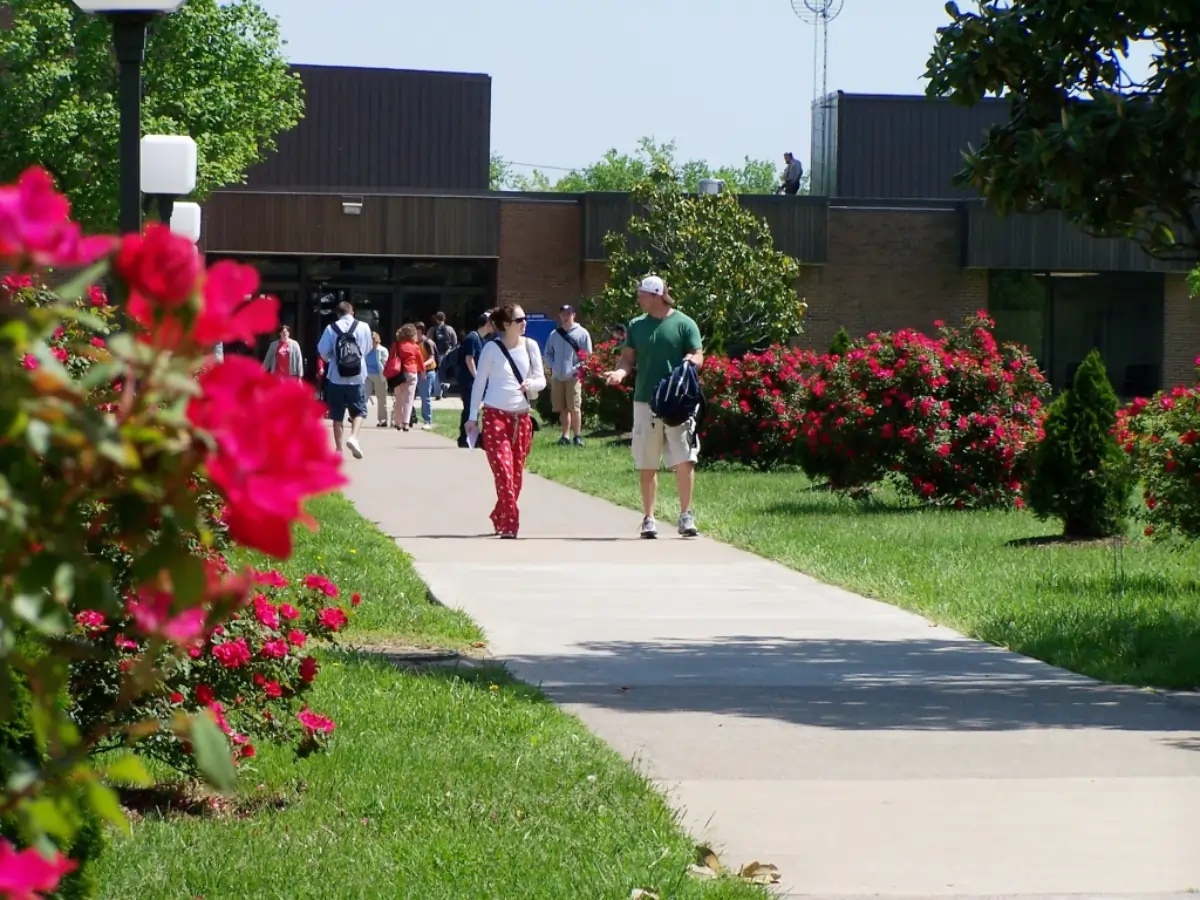 Griffith University International Scholarship 2025/2026