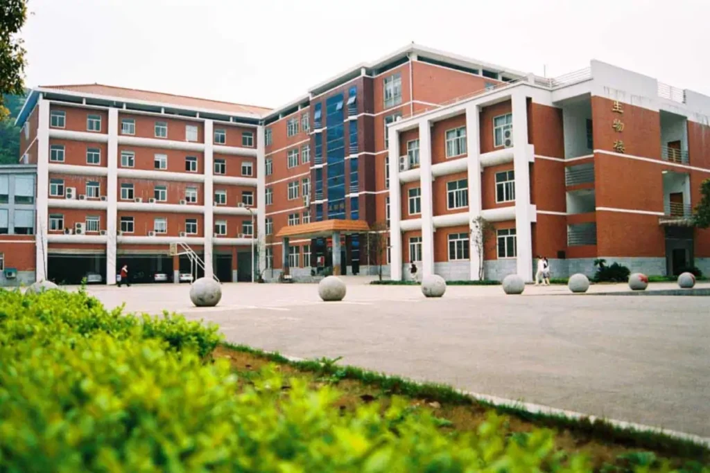 Central South University Scholarship 2025