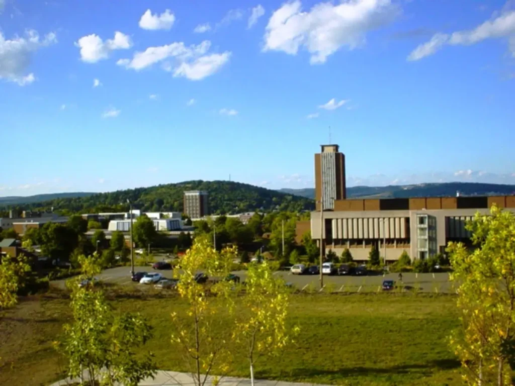 Binghamton University Scholarship