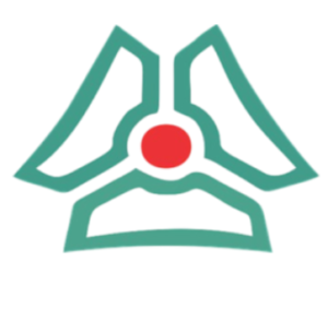 Nigeria Sinotruck Limited