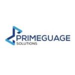 Primeguage Solutions Limited Job Recruitment (5 Positions)